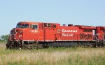 CP 8559